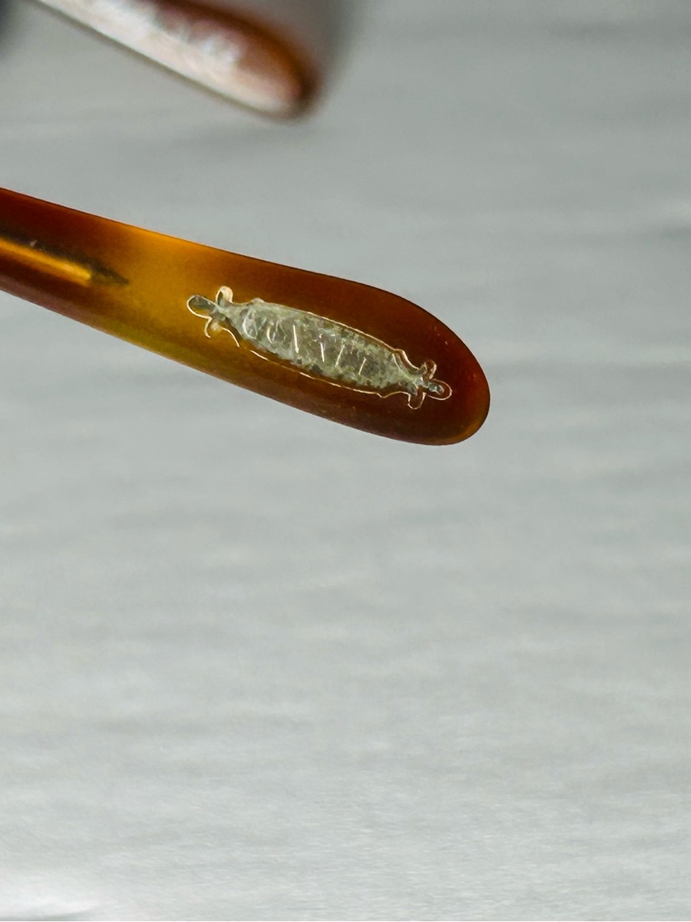 Oliver peoples Riley R eyeglass - Picture 10 of 16